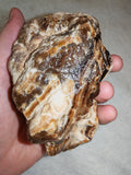 Natural Chocolate Calcite Mineral Specimen from Pakistan 518g | Banded Brown Calcite Display Crystal #2