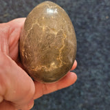Fossil Rich Stone Egg #14 – Approx. 260g
