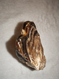 Natural Chocolate Calcite Polished Freeform 242g | Pakistan | Banded Display Mineral Specimen #7