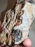 Natural Chocolate Calcite Botryoidal Formation 540g | Pakistan | Cave Display Mineral Specimen #5