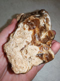Natural Chocolate Calcite Mineral Specimen from Pakistan 518g | Banded Brown Calcite Display Crystal #2