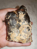 Natural Chocolate Calcite Polished Freeform 242g | Pakistan | Banded Display Mineral Specimen #7