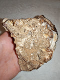 Natural Botryoidal Chocolate Calcite Display Specimen 353g | White & Brown Banded Mineral | Pakistan #10