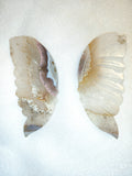 Agate Butterfly Wings with Display Stand