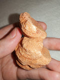 Moroccan Sand Stromatolite Pseudo-Stromatolite Desert Concretion 80g #2