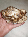 Natural Chocolate Calcite Mineral Specimen from Pakistan 518g | Banded Brown Calcite Display Crystal #2
