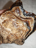 Natural Chocolate Calcite Polished Freeform 242g | Pakistan | Banded Display Mineral Specimen #7