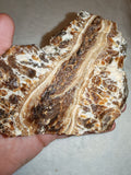 Natural Chocolate Calcite Botryoidal Formation 541g | Pakistan | Banded Display Mineral Specimen #6