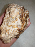 Natural Chocolate Calcite Mineral Specimen from Pakistan 518g | Banded Brown Calcite Display Crystal #2