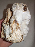 Large Natural Chocolate Calcite Formation 725g | Pakistan | Unique Mineral Display Specimen | Collector Crystal #3