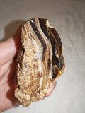 Natural Chocolate Calcite Polished Freeform 242g | Pakistan | Banded Display Mineral Specimen #7