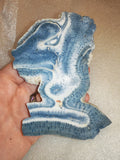 Blue Fossil Coral Pieces