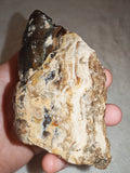 Natural Chocolate Calcite Polished Freeform 242g | Pakistan | Banded Display Mineral Specimen #7