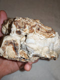 Natural Chocolate Calcite Botryoidal Formation 540g | Pakistan | Cave Display Mineral Specimen #5