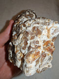 Natural Chocolate Calcite Botryoidal Formation 541g | Pakistan | Banded Display Mineral Specimen #6