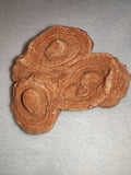 Moroccan Pseudo-Stromatolite Sand Concretion Barite Desert Formation 316g #1
