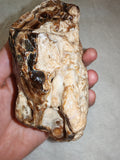 Natural Chocolate Calcite Mineral Specimen from Pakistan 518g | Banded Brown Calcite Display Crystal #2