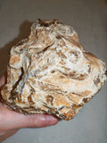Natural Chocolate Calcite Formation 566g | Pakistan | Banded Mineral Display Specimen | Collector Crystal #4