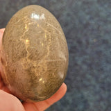 Fossil Rich Stone Egg #14 – Approx. 260g
