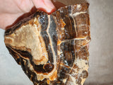 Natural Chocolate Calcite Polished Freeform 532g | Pakistan | Banded Botryoidal Display Mineral Specimen #8