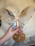 Agate Butterfly Wings with Display Stand