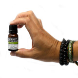 Spearmint Essential Oil 10ml – Ancient Wisdom Aromatherapy Oil